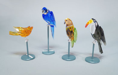 Tropical Birds